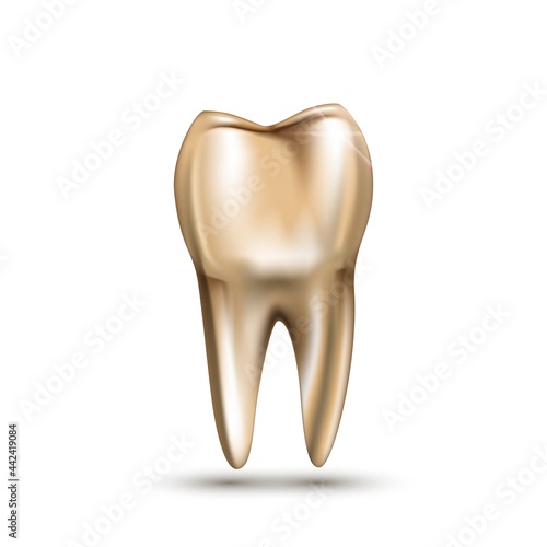 Golden tooth with root on white background