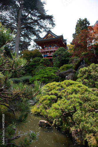 japanese garden in autumn