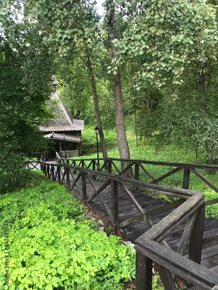 wooden bridge in the woods