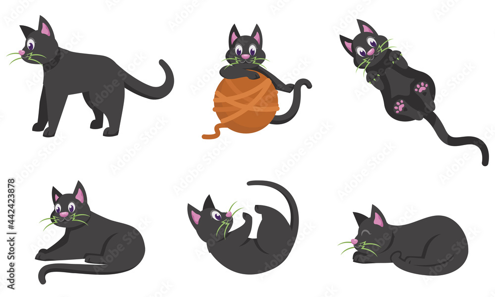 Black cat in different poses. Halloween character in cartoon style