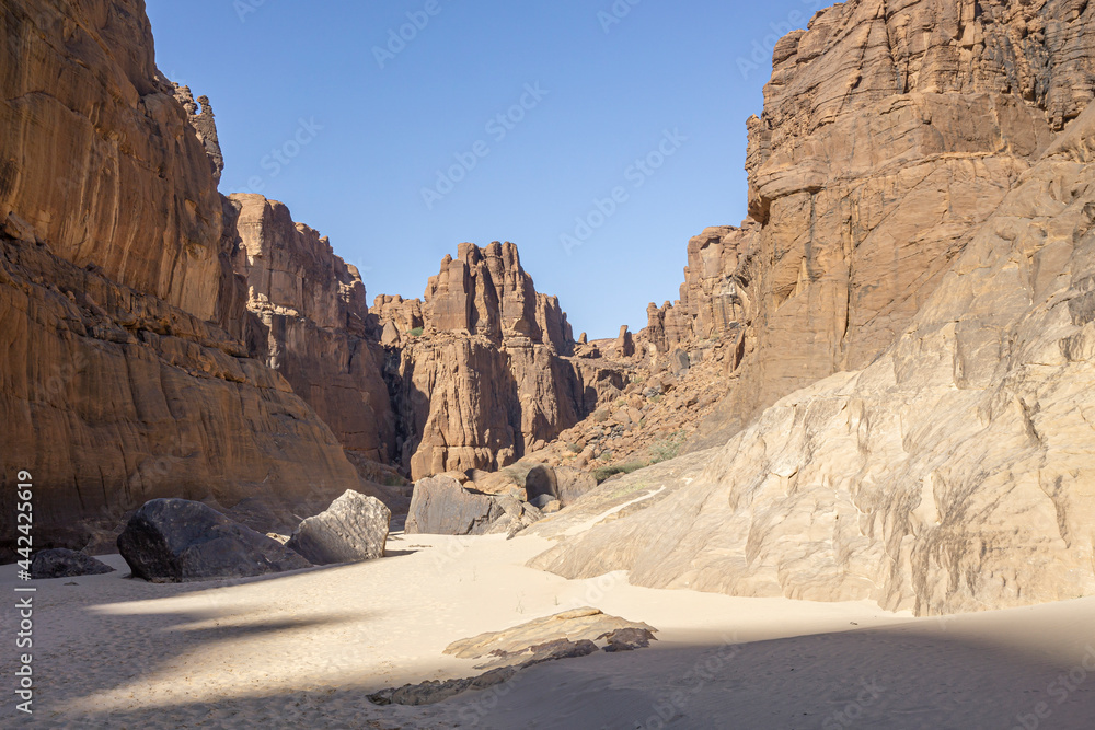 Fototapeta premium Panorama inside canyon aka Guelta d'Archei in East Ennedi, Chad, Africa