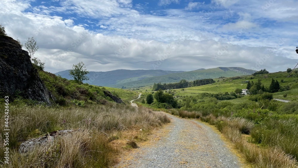 landscape in summer landscape in summer