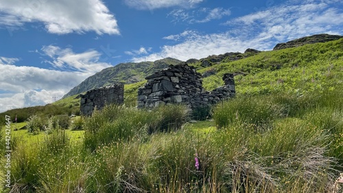landscape in the summer