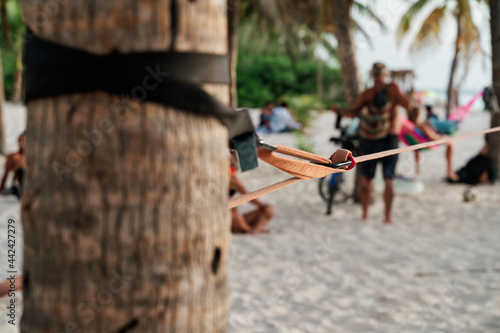 slackline strap tightened and tensioned between two palm trees on the beach ready for sport, vacation concept photo