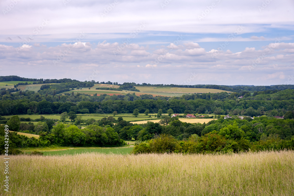 The gentle hills of Hampshire from the Monarch's Way, near Old Winchester Hill in summer, England