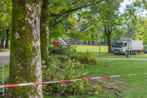 Warning tape in the park because of a storm damage. Fallen tree after a strong summer storm and gusts of wind in Graz, Austria. Selective focus