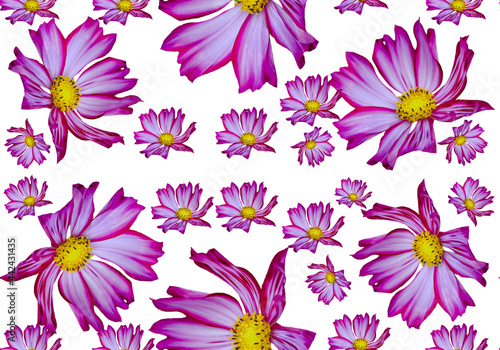 pattern with purple flowers