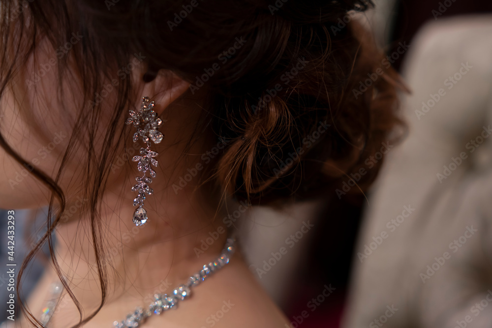 Bride's earrings, necklace and hairstyle