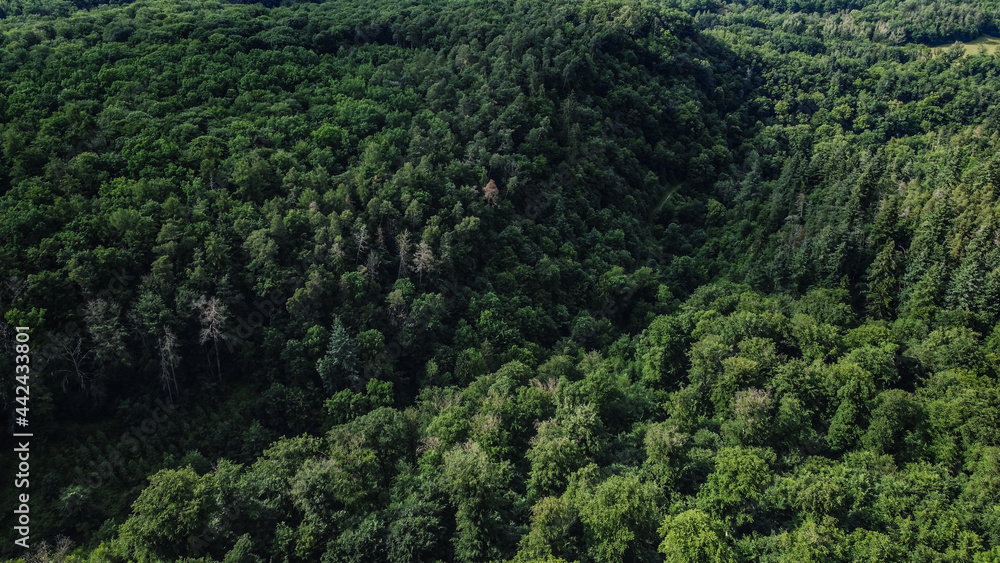 Flight over a dense forest - wonderful nature - landscape photography