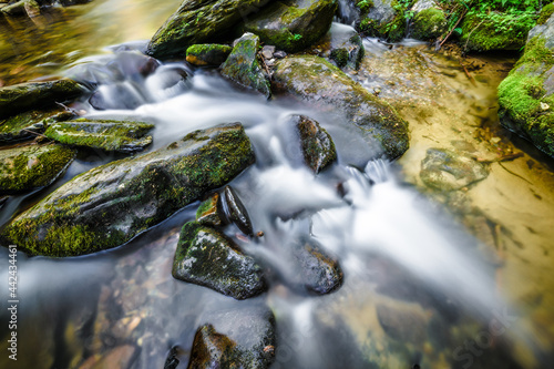 Water flowing over mossy rocks