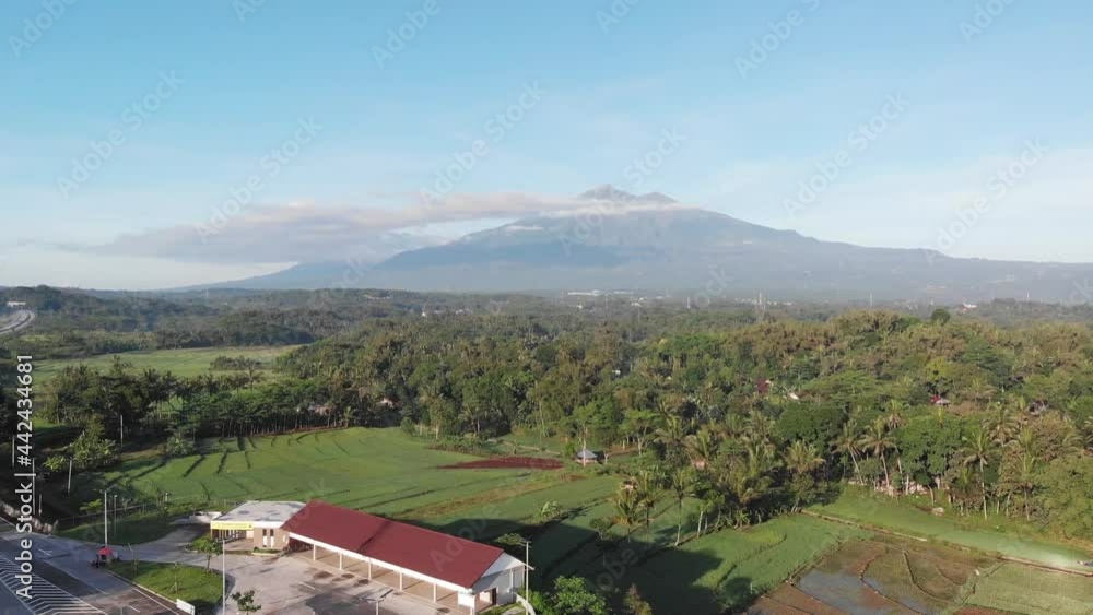 Rice fields and mount Merbabu in Salatiga, Indonesia. Rice fields and mount Merbabu in Salatiga, Indonesia.