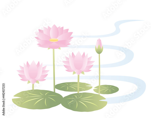 睡蓮の花のベクターイラスト