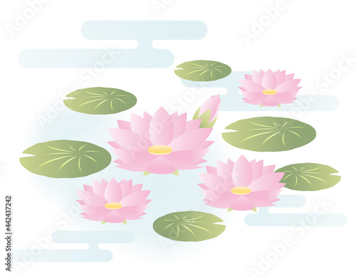 睡蓮の花のベクターイラスト