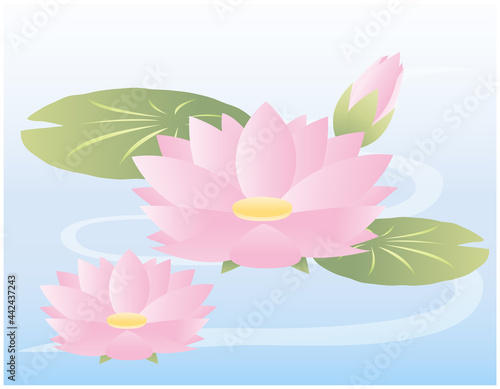 睡蓮の花のベクターイラスト