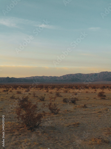 California desert landscape 