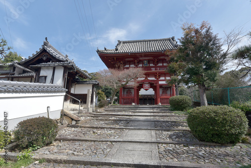 Wallpaper Mural 宝塔寺　仁王門　京都市伏見区 Torontodigital.ca