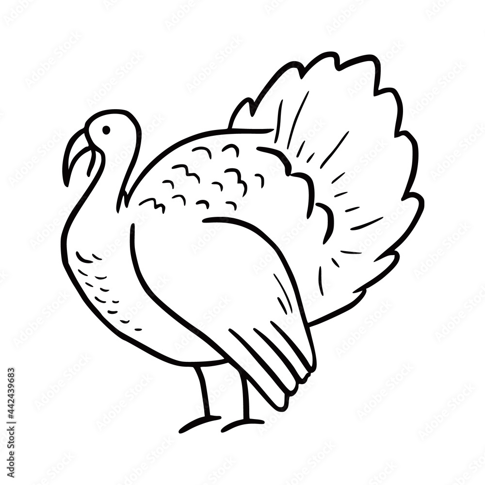 Obraz premium Hand drawn turkey bird. Doodle sketch style. Drawing line simple turkey icon. Isolated vector illustration.