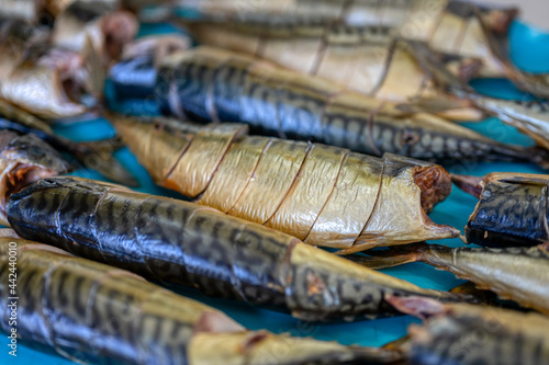 Pieces of smoked mackerel lie on a conveyor belt. Fish food factory.