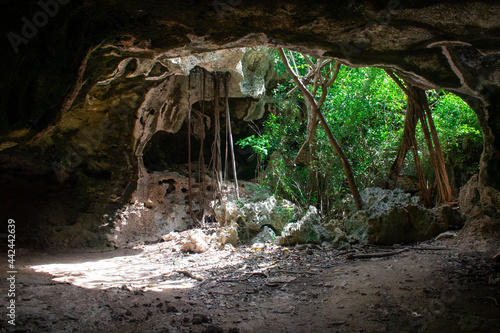 A shot from inside the Bat Cave in Cayman Brac looking out into the dense vegetation. These limestone formations make pleasant tourist attractions photo