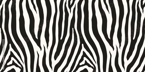 Obraz Zebra monochrome seamless pattern. Vector animal skin print. Fashion stylish organic texture.