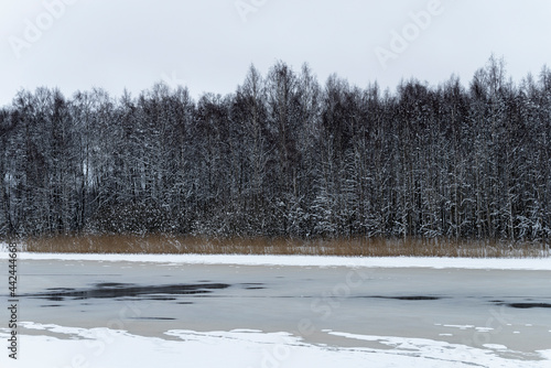 Wallpaper Mural Weak ice  Torontodigital.ca