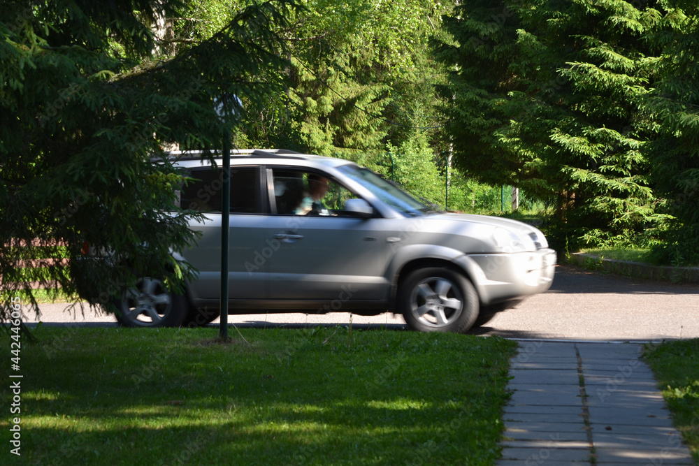 Fast moving car (blurred) in a park area on a summer day