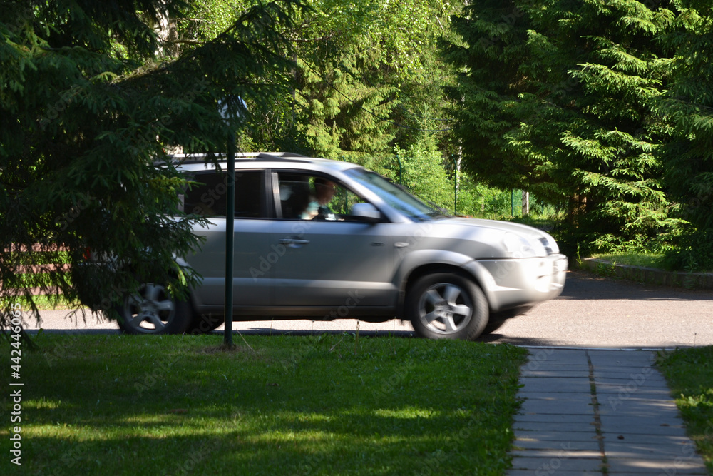Fast moving car (blurred) in a park area on a summer day Fast moving car (blurred) in a park area on a summer day