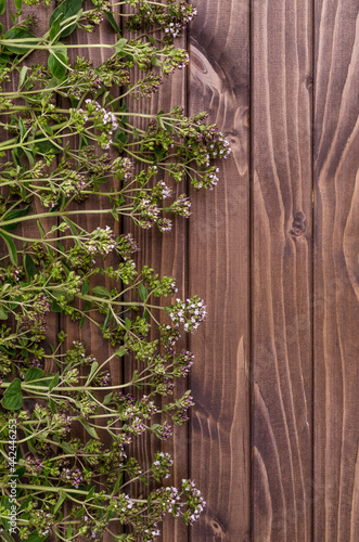 Flowering branches of fresh thyme