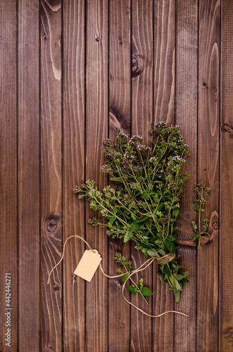 Flowering branches of fresh thyme