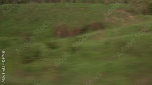 view from window of speed train with glare on glass on beautiful landscape of meadow and forest cloudy sky sunset in summer nature background. Transport, travel, road, railway, comnication concept photo