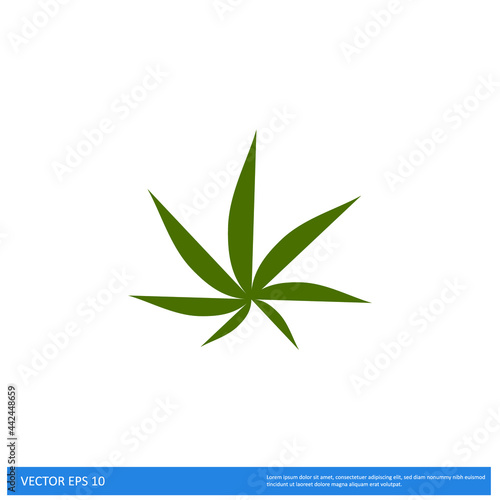 marijuana leaf icon vector