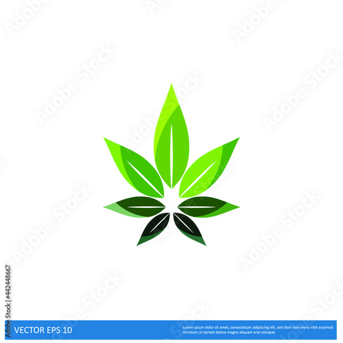 marijuana leaf icon vector