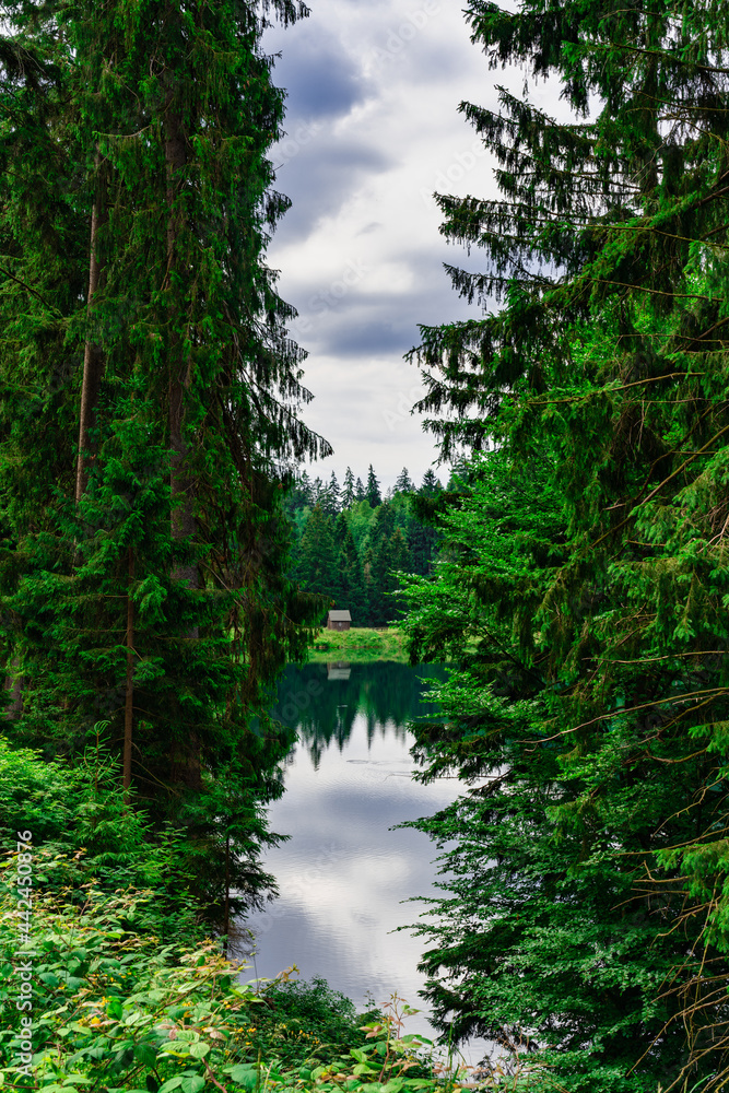Schalker Teich im Harz Schalker Teich im Harz