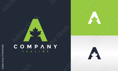 letter A maple logo