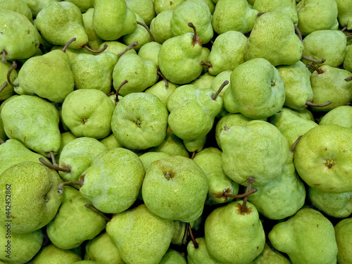Stack of D'Anjou Pear. It has unique full green color. Fruit is being sold on fresh fruit market