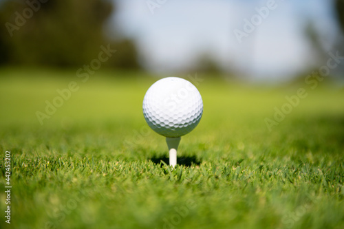Green grass with golf ball close-up in soft focus at sunlight. Golf playground for golf club concept.