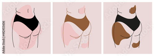 Abstract minimalistic female figure in panties from the back.The contour of the silhouette of a large woman in underwear. Set of body positive images of the female body. Vector illustration. 