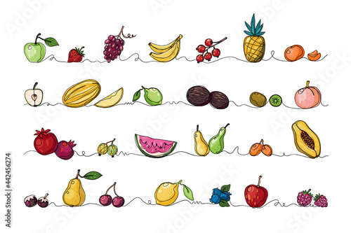 Continuous line fruits. Tropical food. Monoline sketch border of exotic natural products set. Pineapple and papaya. Sweet pomegranate or grape. Juicy watermelon. Vector summer berries