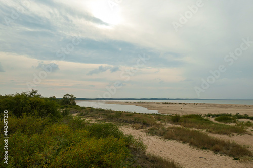 The coastal line of a sandy beach by the Baltic Sea on Sobieszewo Island  Poland  overgrown with high grass and bushes. A small pond next to the shore.The sea is gently waving. A bit of overcast.