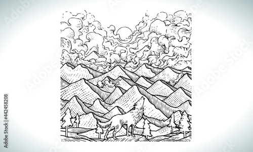 Fox engraved illustration. Vector-4