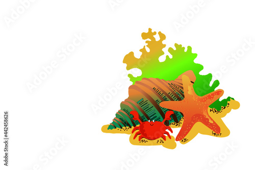 This is a vector image of marine life and seashells. Composition of seashells, seaweed crab and coastal sand. 