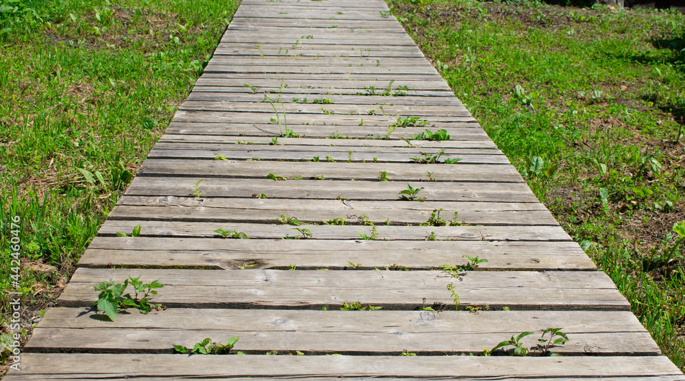 Wooden walkway. Sidewalk made of boards. The track in perspective. Grass and path.