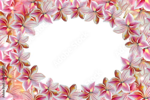 Floral frame with delicate pink lilies.