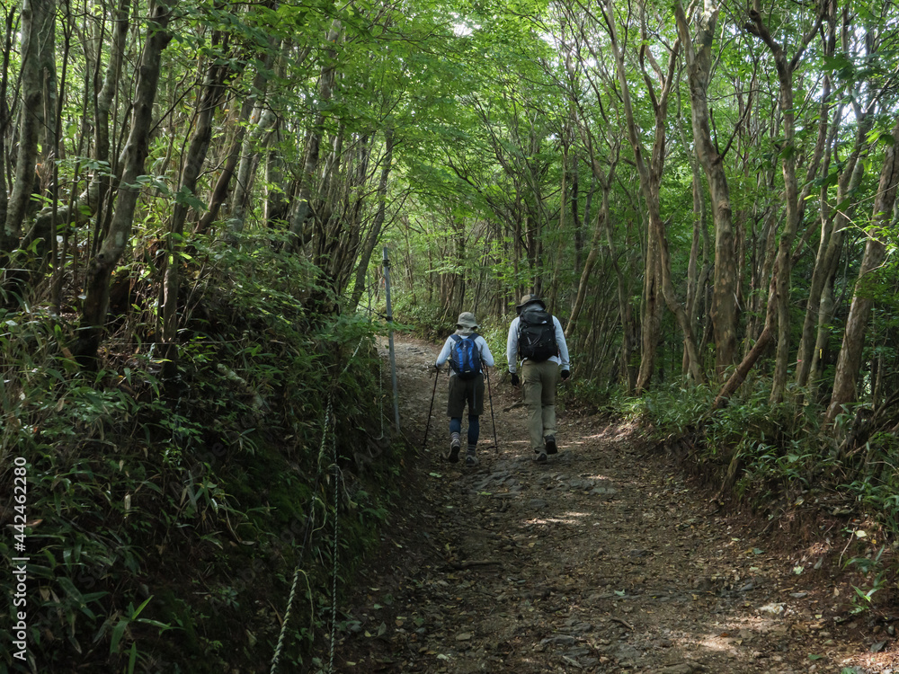 ロープウェー乗り場から成就社の途中の登山道を登る人 ロープウェー乗り場から成就社の途中の登山道を登る人