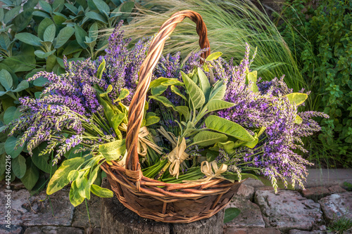 Basket with lavender
