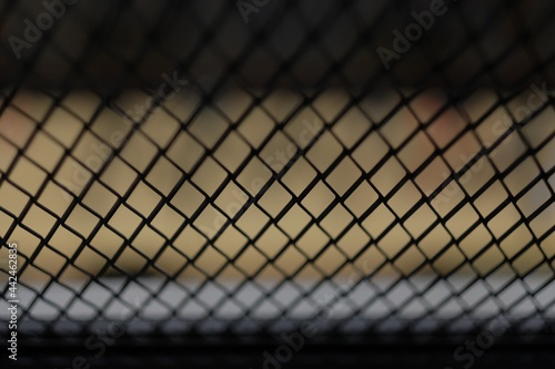 Narrow focus only on wire mesh like fence.