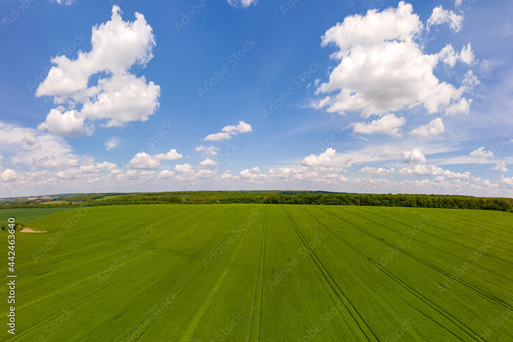 Aerial landscape view of green cultivated agricultural fields with growing crops on bright summer day. Aerial landscape view of green cultivated agricultural fields with growing crops on bright summer day.