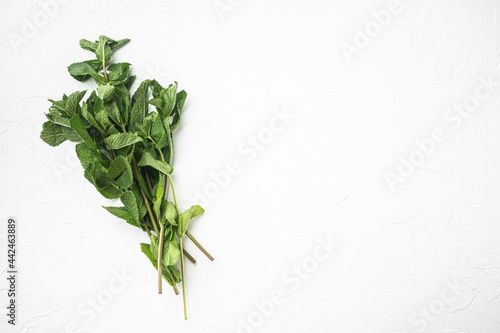 Fresh spearmint or mint leaves , on white stone  background, top view flat lay, with copy space for text