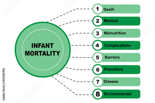 Diagram concept with Infant Mortality text and keywords. EPS 10 isolated on white background