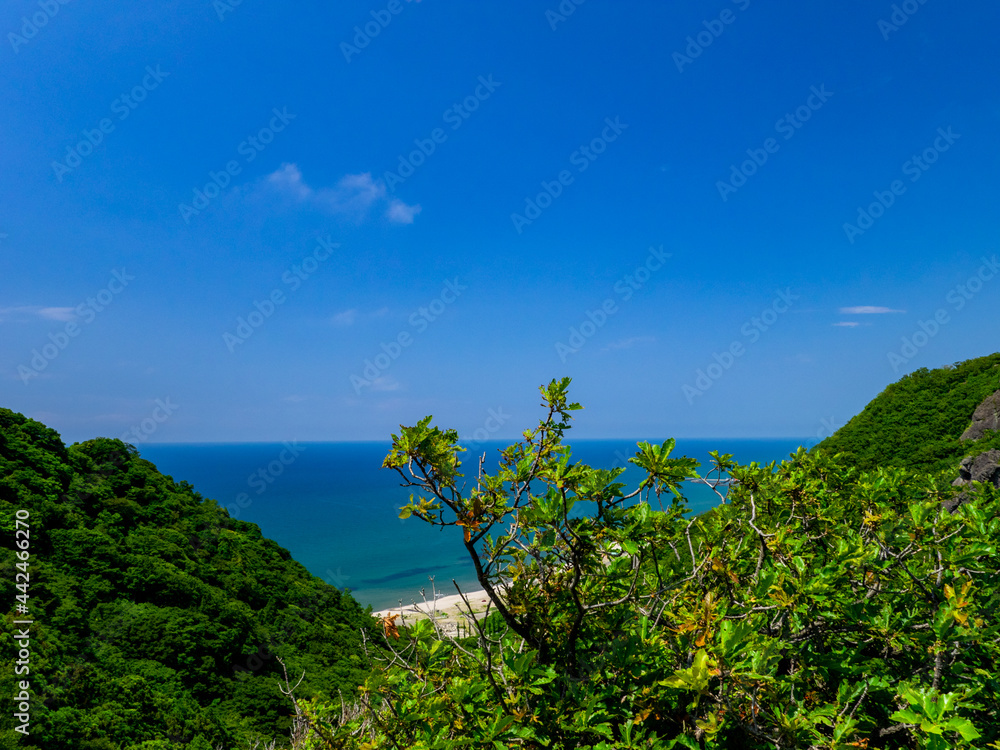 Calm beach viewed from a mountain (Mt.Kakuda, Nishikan, Niigata, Japan)